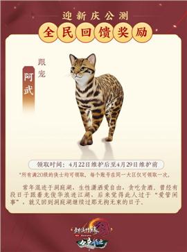 私服天龙八部内功合击